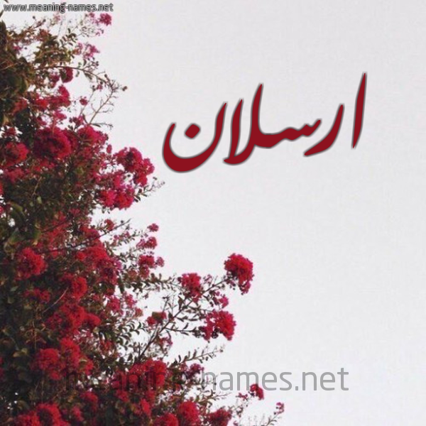 شكل 18 صوره الورد الأحمر للإسم بخط رقعة صورة اسم ارسلان Arslan