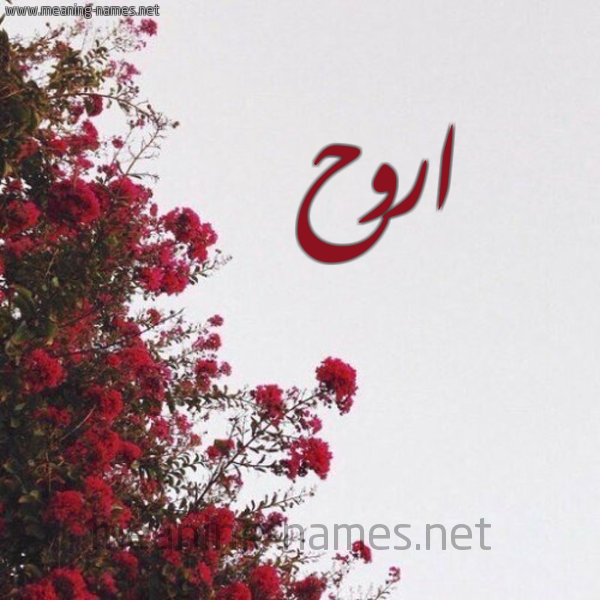 شكل 18 صوره الورد الأحمر للإسم بخط رقعة صورة اسم اروح Rouh