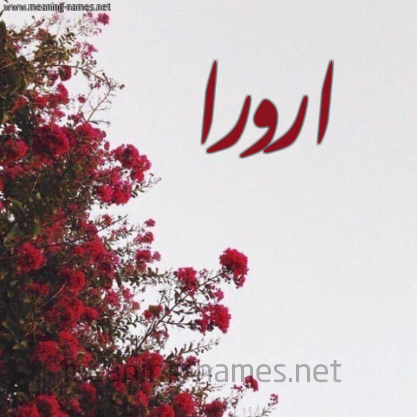 شكل 18 صوره الورد الأحمر للإسم بخط رقعة صورة اسم ارورا arorra