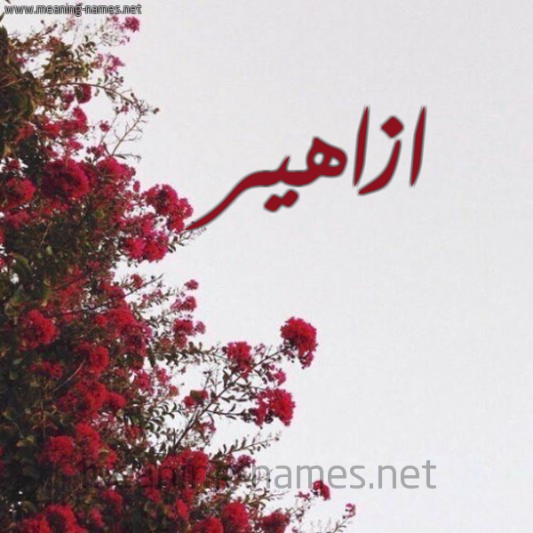 شكل 18 صوره الورد الأحمر للإسم بخط رقعة صورة اسم ازاهير AZAHIR