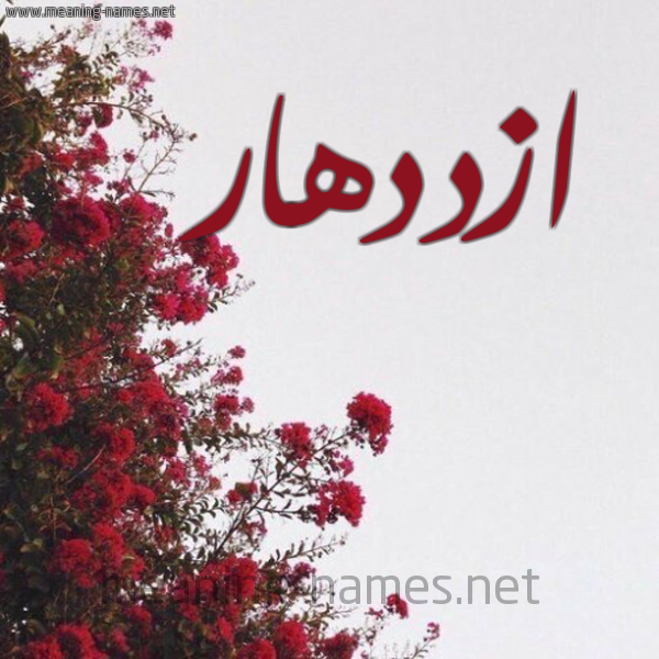 شكل 18 صوره الورد الأحمر للإسم بخط رقعة صورة اسم ازددهار Ezdehar