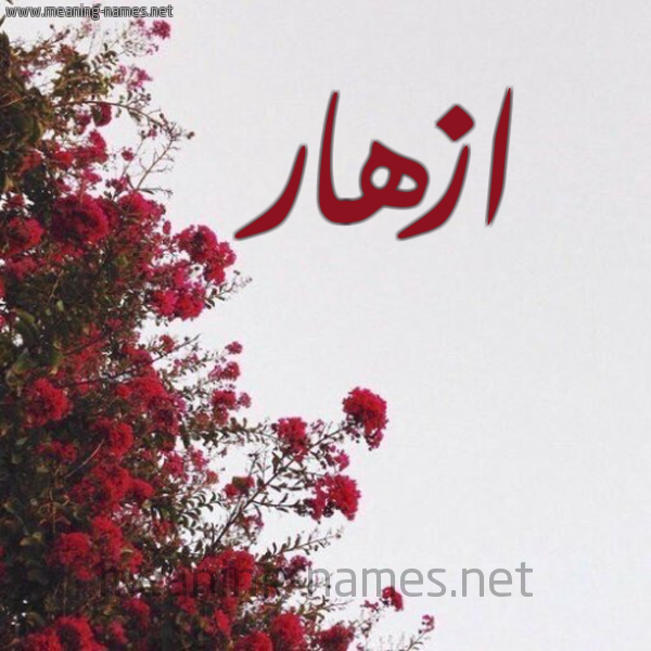 شكل 18 صوره الورد الأحمر للإسم بخط رقعة صورة اسم ازهار Azhar