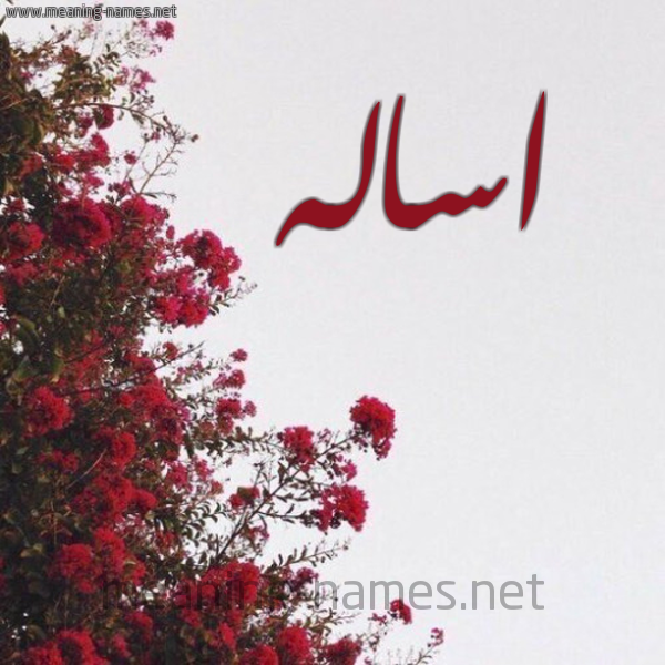 شكل 18 صوره الورد الأحمر للإسم بخط رقعة صورة اسم اساله ASALH