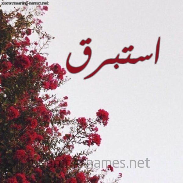 شكل 18 صوره الورد الأحمر للإسم بخط رقعة صورة اسم استبرق Astabraq