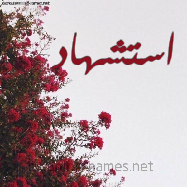 شكل 18 صوره الورد الأحمر للإسم بخط رقعة صورة اسم استشهاد Astshhad