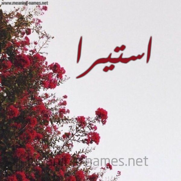 شكل 18 صوره الورد الأحمر للإسم بخط رقعة صورة اسم استيرا Estera