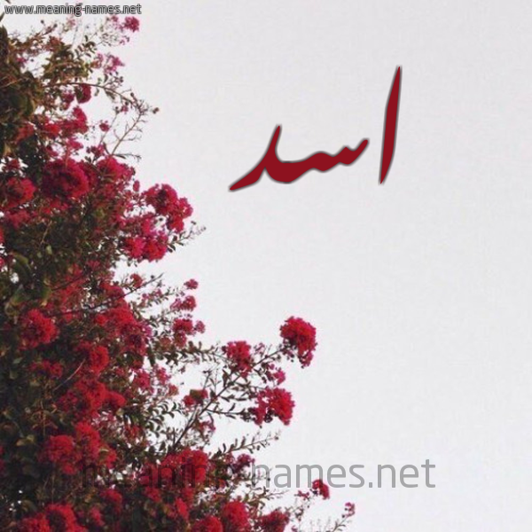 شكل 18 صوره الورد الأحمر للإسم بخط رقعة صورة اسم اسد Asd