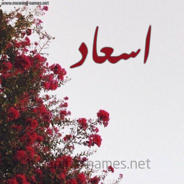 شكل 18 صوره الورد الأحمر للإسم بخط رقعة صورة اسم اسعاد Esaad