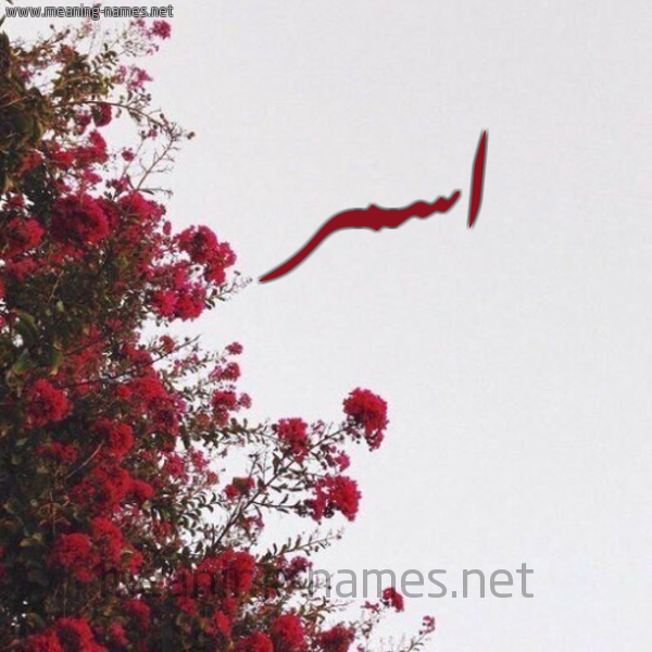 شكل 18 صوره الورد الأحمر للإسم بخط رقعة صورة اسم اسمر ASMR