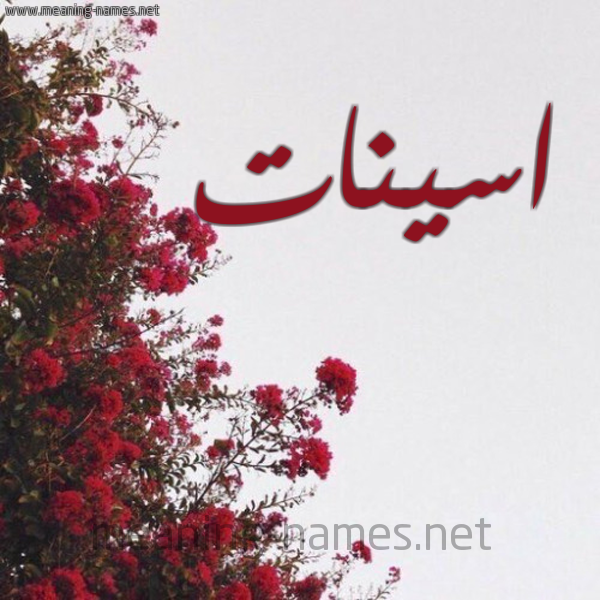شكل 18 صوره الورد الأحمر للإسم بخط رقعة صورة اسم اسينات Aseynat