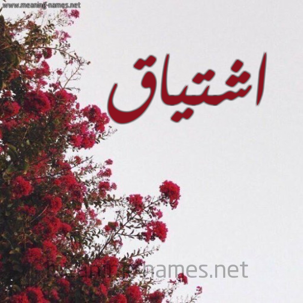 شكل 18 صوره الورد الأحمر للإسم بخط رقعة صورة اسم اشتياق Ashtyaq