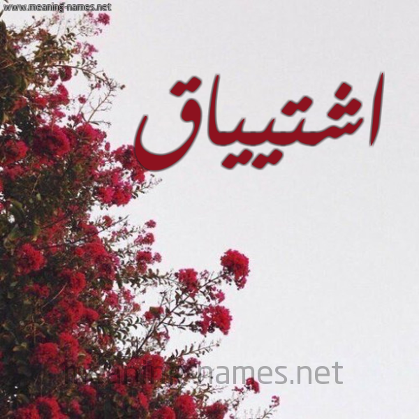 شكل 18 صوره الورد الأحمر للإسم بخط رقعة صورة اسم اشتيياق Ishtiaq