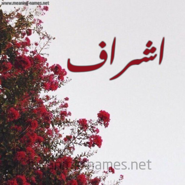 شكل 18 صوره الورد الأحمر للإسم بخط رقعة صورة اسم اشراف Ashraf
