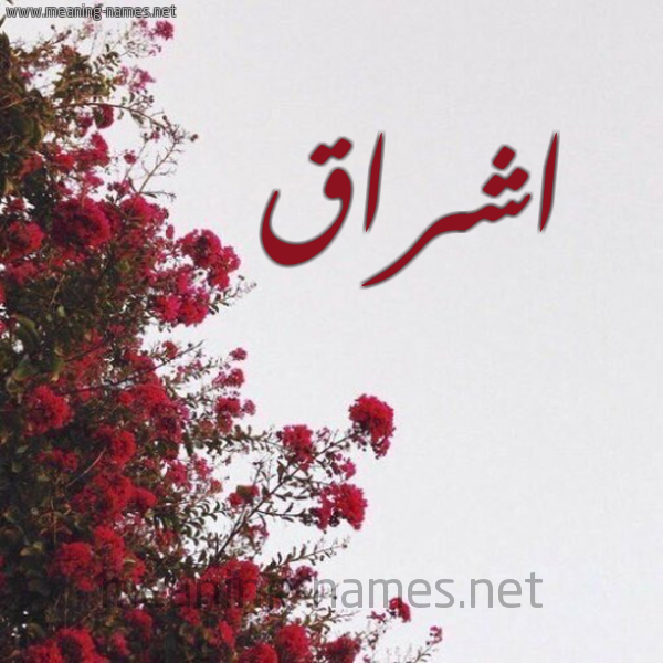 شكل 18 صوره الورد الأحمر للإسم بخط رقعة صورة اسم اشراق Ishraq