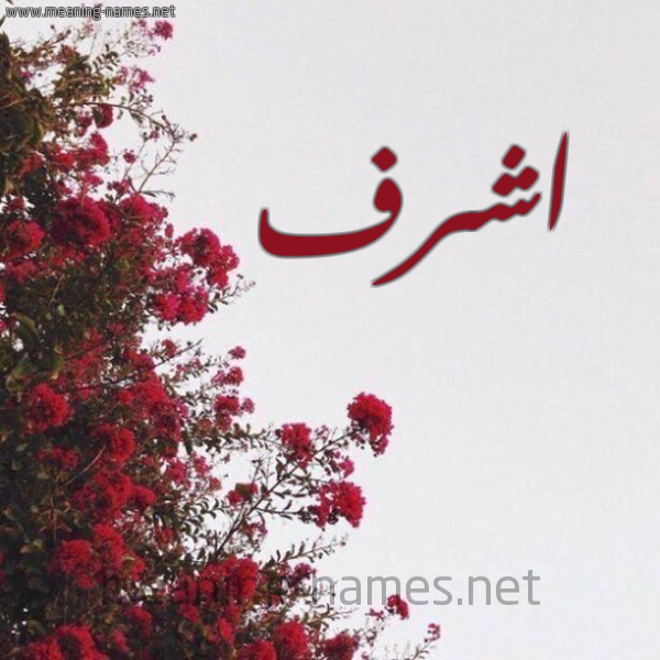 شكل 18 صوره الورد الأحمر للإسم بخط رقعة صورة اسم اشرف Ashrf