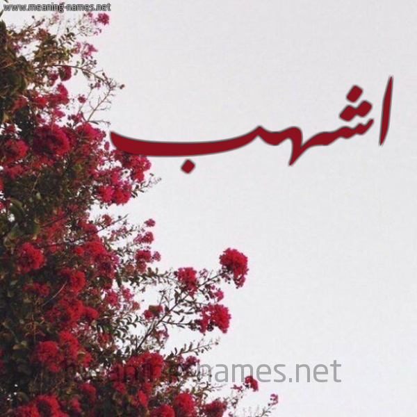 شكل 18 صوره الورد الأحمر للإسم بخط رقعة صورة اسم اشهب ASHHB