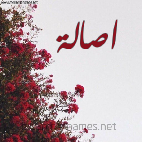 شكل 18 صوره الورد الأحمر للإسم بخط رقعة صورة اسم اصالة ASALH