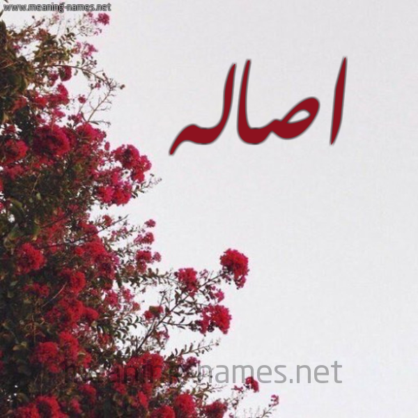شكل 18 صوره الورد الأحمر للإسم بخط رقعة صورة اسم اصاله ASALH
