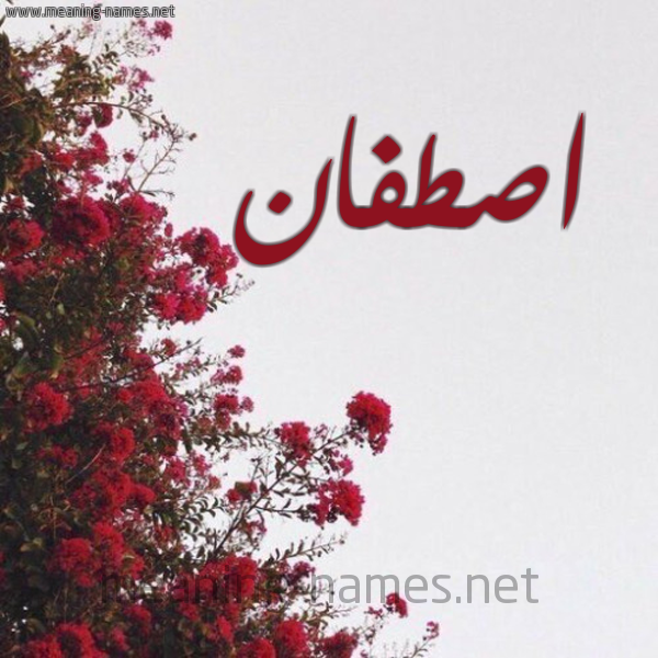 شكل 18 صوره الورد الأحمر للإسم بخط رقعة صورة اسم اصطفان ASTFAN