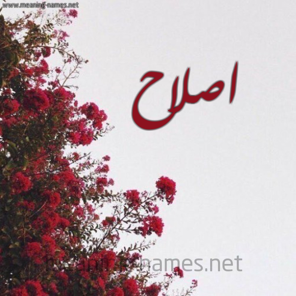 شكل 18 صوره الورد الأحمر للإسم بخط رقعة صورة اسم اصلاح Eslah
