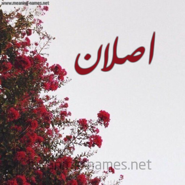 شكل 18 صوره الورد الأحمر للإسم بخط رقعة صورة اسم اصلان Aslan