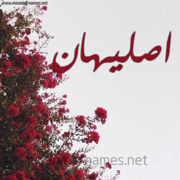 شكل 18 صوره الورد الأحمر للإسم بخط رقعة صورة اسم اصليهان aslihan