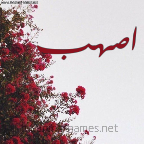 شكل 18 صوره الورد الأحمر للإسم بخط رقعة صورة اسم اصهب ASHB