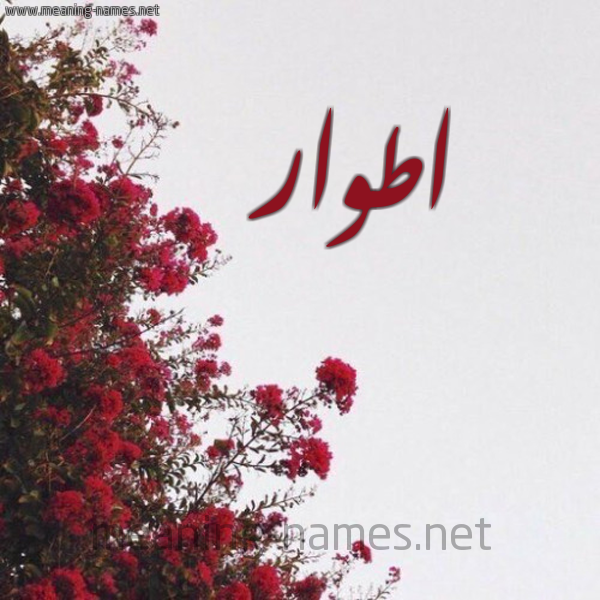 شكل 18 صوره الورد الأحمر للإسم بخط رقعة صورة اسم اطوار أطوار-Atwar