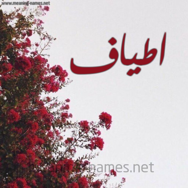 شكل 18 صوره الورد الأحمر للإسم بخط رقعة صورة اسم اطياف Atiaf