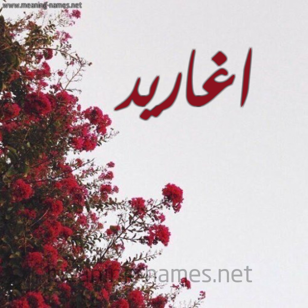 شكل 18 صوره الورد الأحمر للإسم بخط رقعة صورة اسم اغاريد AGHARID