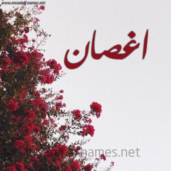شكل 18 صوره الورد الأحمر للإسم بخط رقعة صورة اسم اغصان AGHSAN