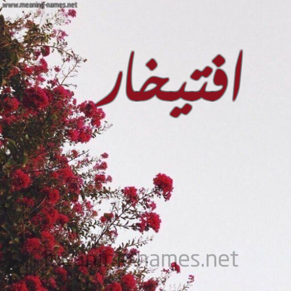 شكل 18 صوره الورد الأحمر للإسم بخط رقعة صورة اسم افتيخار Iftikhar