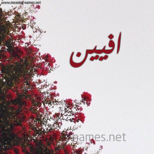 شكل 18 صوره الورد الأحمر للإسم بخط رقعة صورة اسم افيين Avin