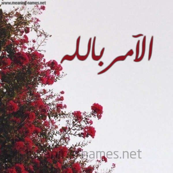 شكل 18 صوره الورد الأحمر للإسم بخط رقعة صورة اسم الآمربالله Al-Aamrballh