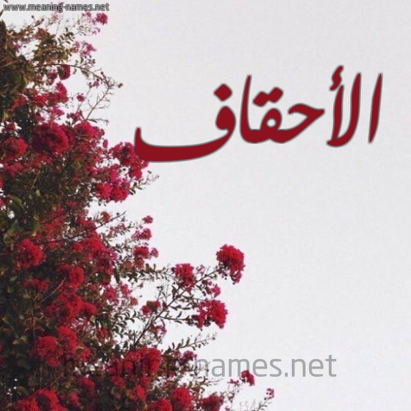 شكل 18 صوره الورد الأحمر للإسم بخط رقعة صورة اسم الأحقاف ALAHQAF