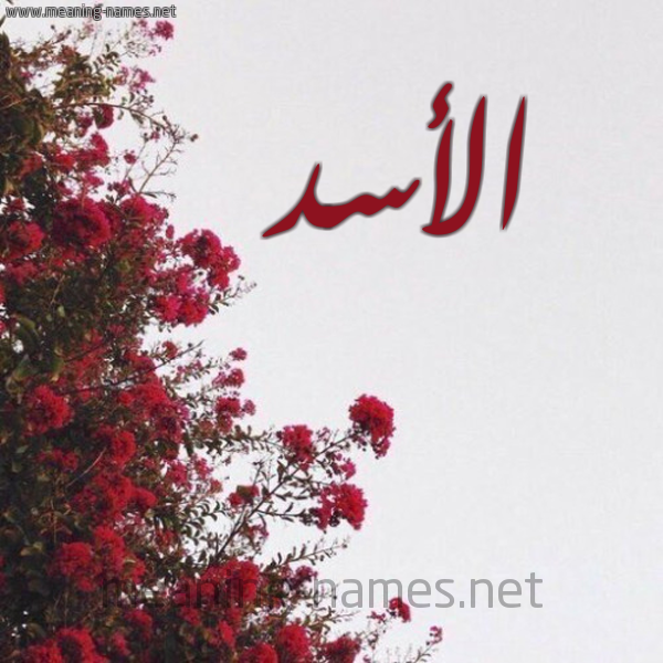 شكل 18 صوره الورد الأحمر للإسم بخط رقعة صورة اسم الأسد ALASD