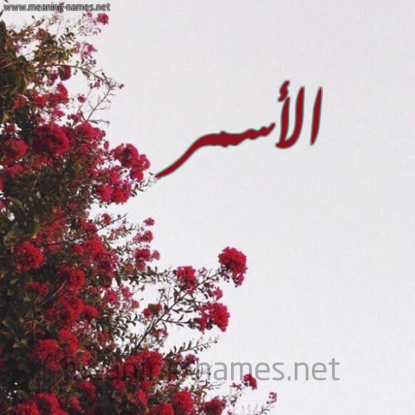 شكل 18 صوره الورد الأحمر للإسم بخط رقعة صورة اسم الأسمر ALASMR