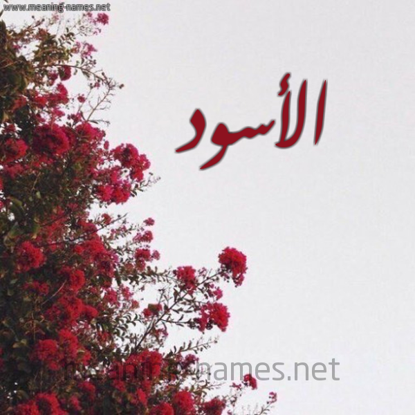 شكل 18 صوره الورد الأحمر للإسم بخط رقعة صورة اسم الأسود ALASOD