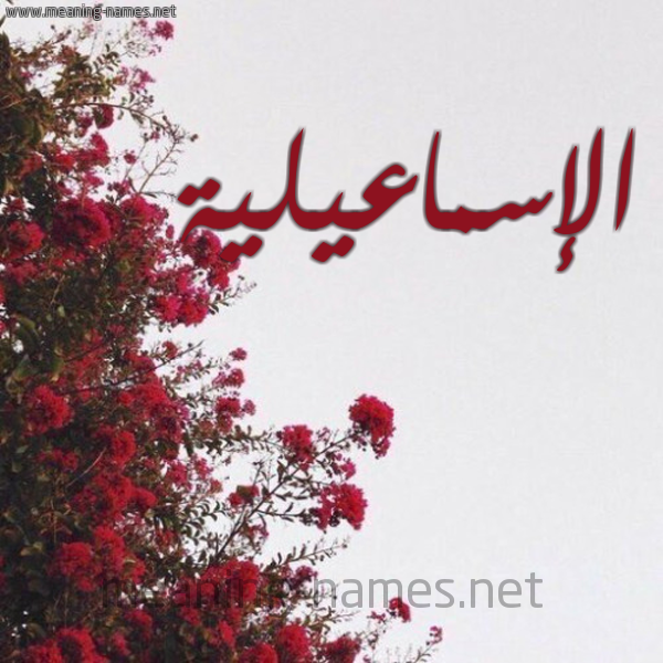 شكل 18 صوره الورد الأحمر للإسم بخط رقعة صورة اسم الإسماعيلية ALESMAAILIH