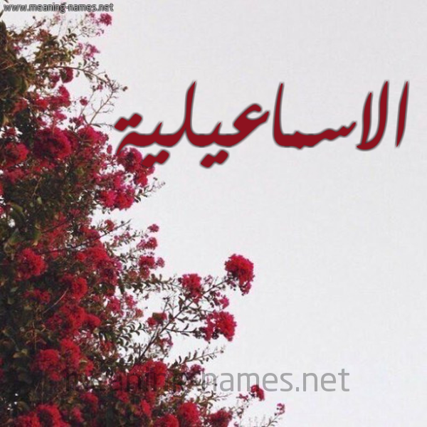 شكل 18 صوره الورد الأحمر للإسم بخط رقعة صورة اسم الاسماعيلية ALASMAAILIH