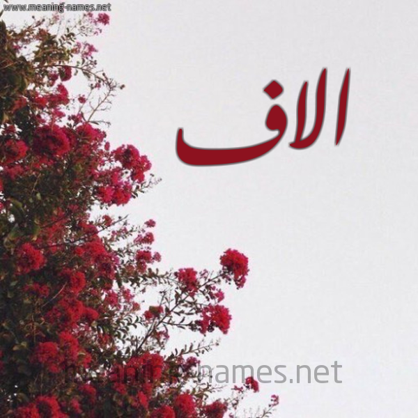 شكل 18 صوره الورد الأحمر للإسم بخط رقعة صورة اسم الاف ALAF