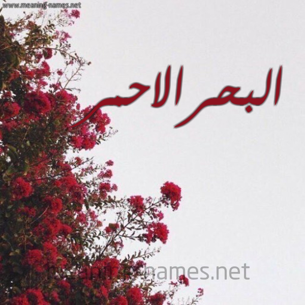 شكل 18 صوره الورد الأحمر للإسم بخط رقعة صورة اسم البحرالاحمر ALBHRALAHMR
