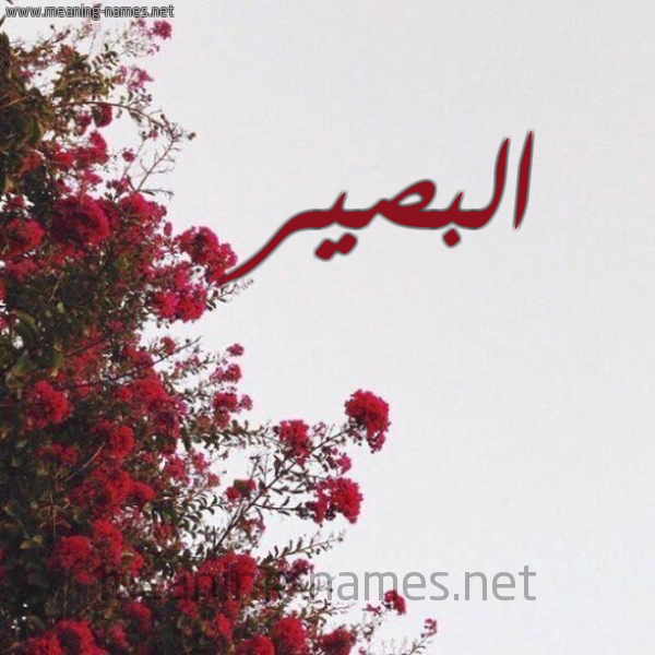 شكل 18 صوره الورد الأحمر للإسم بخط رقعة صورة اسم البصير ALBSIR