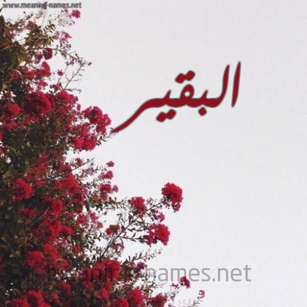 شكل 18 صوره الورد الأحمر للإسم بخط رقعة صورة اسم البقير ALBQIR