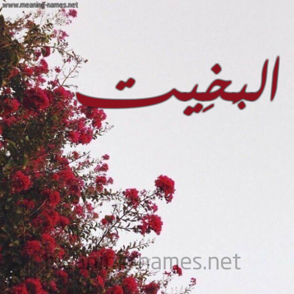 شكل 18 صوره الورد الأحمر للإسم بخط رقعة صورة اسم البَخِيت ALBAKHEIT