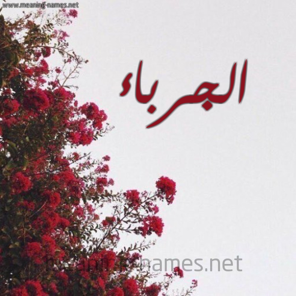 شكل 18 صوره الورد الأحمر للإسم بخط رقعة صورة اسم الجرباء ALGRBAA