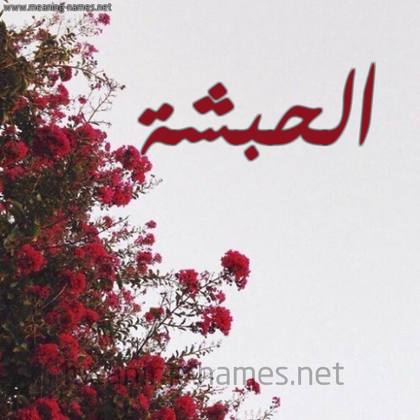 شكل 18 صوره الورد الأحمر للإسم بخط رقعة صورة اسم الحبشة ALHBSHa
