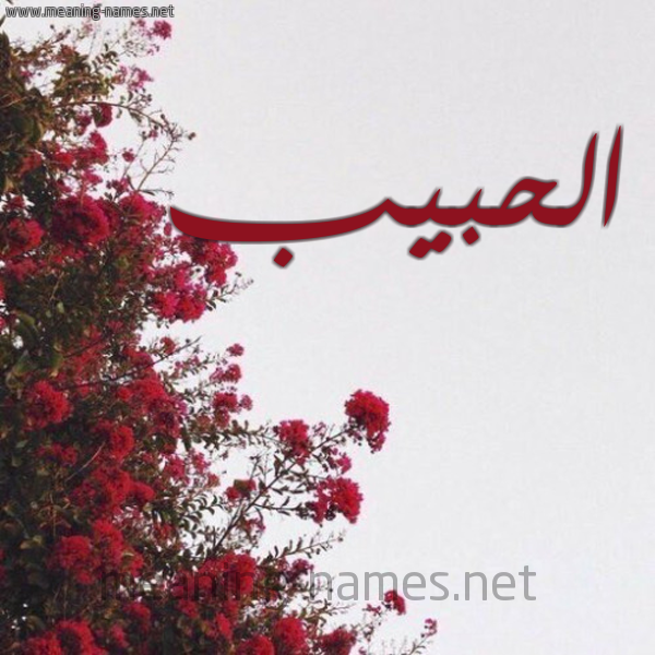 شكل 18 صوره الورد الأحمر للإسم بخط رقعة صورة اسم الحبيب EL-HABIB