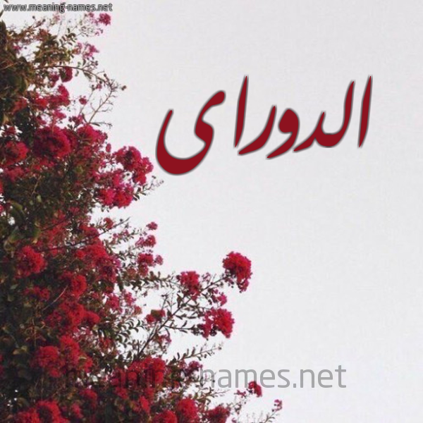 شكل 18 صوره الورد الأحمر للإسم بخط رقعة صورة اسم الدوراى aldori