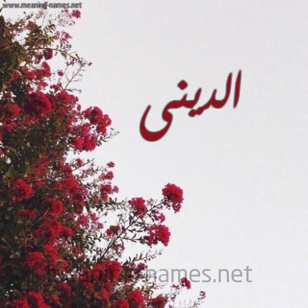 شكل 18 صوره الورد الأحمر للإسم بخط رقعة صورة اسم الدينى aldini